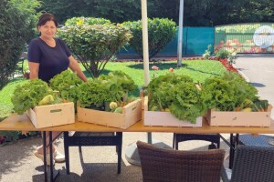 Gazdinstvo "Dunjica" je budući organski proizvođač povrća i voća u banjalučkoj regiji