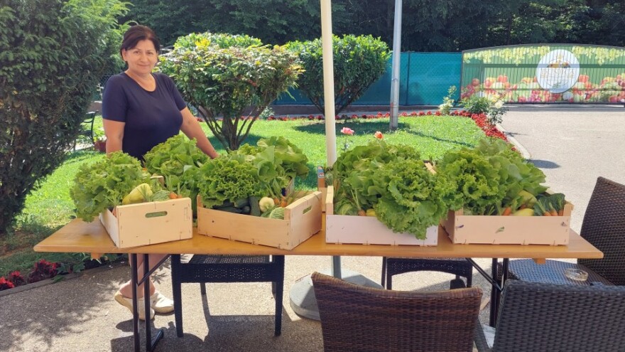 Gazdinstvo "Dunjica" je budući organski proizvođač povrća i voća u banjalučkoj regiji