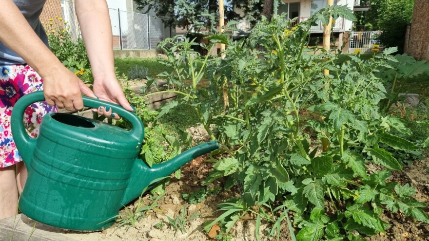 I u dugo toplo ljeto družimo se na KLUBu uz #mojepovrće