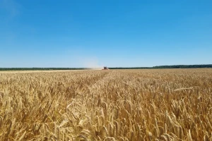 Podaci su sigurni, isplate potpora neometane, a rokovi produženi, poručuju iz Ministarstva