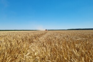 Podaci su sigurni, isplate potpora neometane, a rokovi produženi, poručuju iz Ministarstva