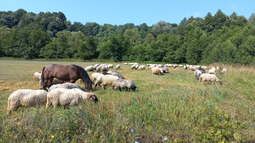 Dolaze izbori: Niko ne čuje seljaka, jadna li nam majka!