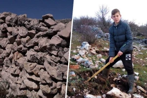 Bože Vukas (12) slaže suhozide, čuva krave i rješava - neradnike