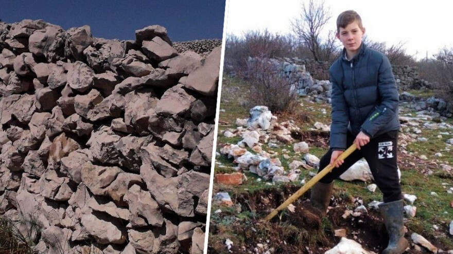 Bože Vukas (12) slaže suhozide, čuva krave i rješava - neradnike