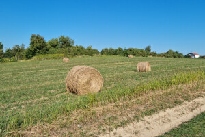 Program ruralnog razvoja: Izmjene i dopune Pravilnika