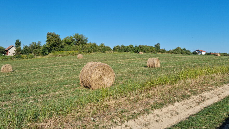Program ruralnog razvoja: Izmjene i dopune Pravilnika