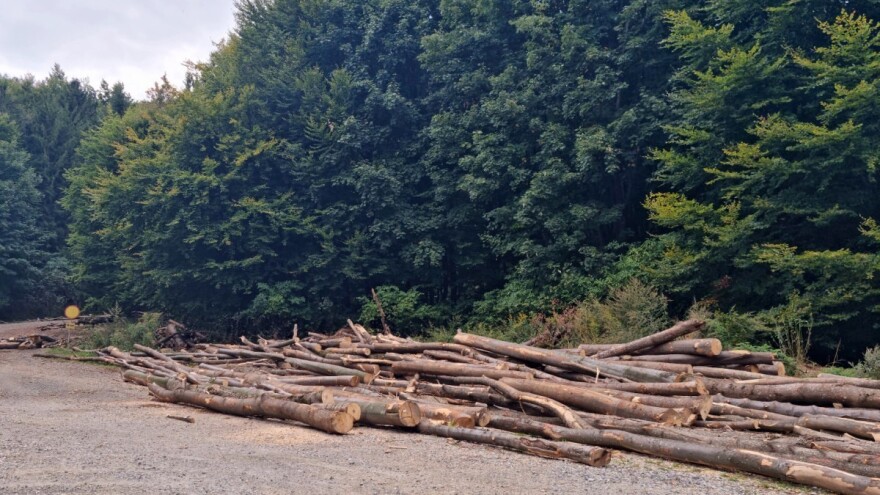 EK donela tri nove inicijative za ostvarenje evropskog Zelenog plana