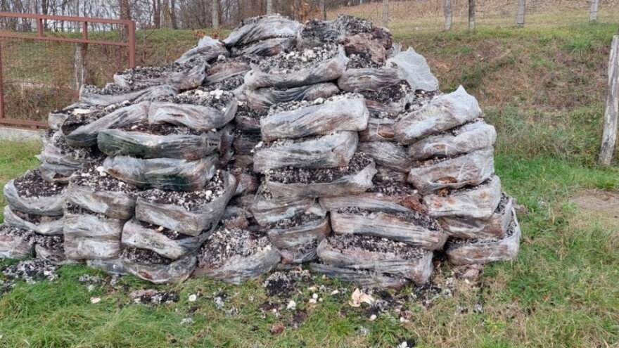 Kompost od šampinjona umesto đubriva za ishranu voćaka?