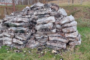 Kompost od šampinjona umjesto đubriva za ishranu voćaka?