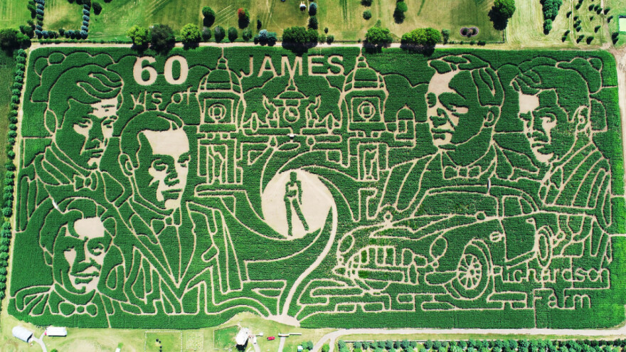 Najveći svjetski kukuruzni labirint posvećen James Bondu: Zasijan pomoću GPS-a