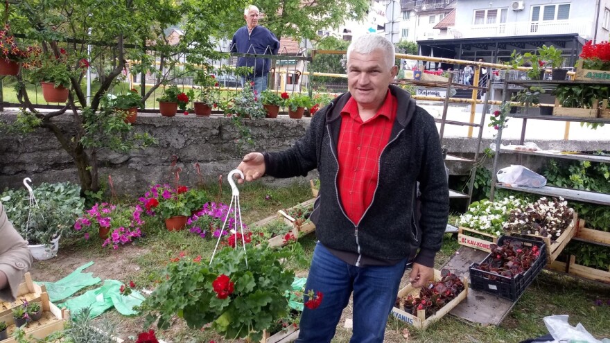 Kod Jovice uvijek špica - poslije cvijeća, u plastenike ide povrće