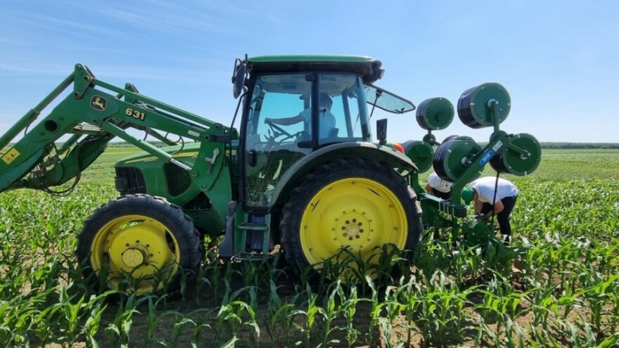 Navodnjavanje kukuruza kap po kap - o kolikoj investiciji je riječ?