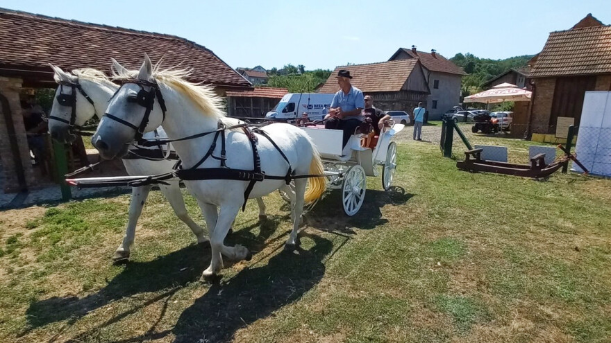 Lipicanac u mom selu kao putujuća manifestacija - zna se gdje će biti naredna