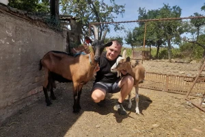 Obitelj Čapo grad je zamijenila selom, prvo su udomili praščića, sad su tu koze, guske, kokoši