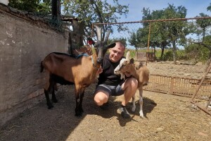 Obitelj Čapo grad je zamijenila selom, prvo su udomili praščića, sad su tu koze, guske, kokoši