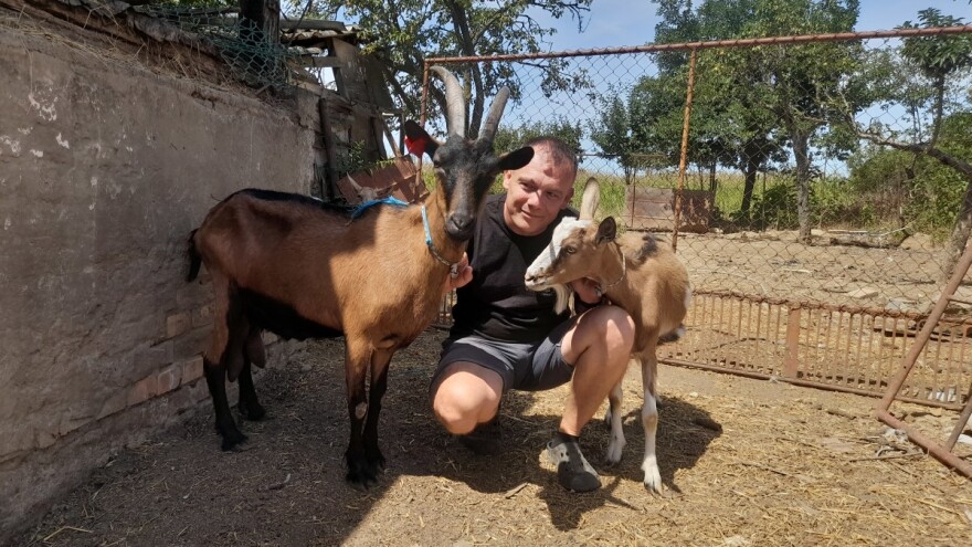 Obitelj Čapo grad je zamijenila selom, prvo su udomili praščića, sad su tu koze, guske, kokoši