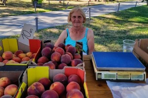 Voćke rodile, ali je strepnja kad su velike vrućine: Samo da ne bude leda i bit će dobro
