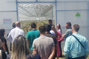 Stalan rast poticaja organske proizvodnje – sve više proizvođača i površina