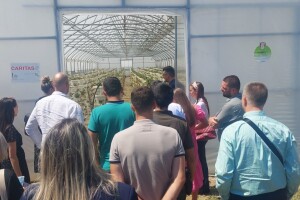 Stalan rast poticaja organske proizvodnje – sve više proizvođača i površina