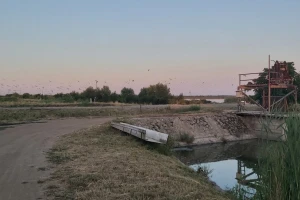 Ribnjak u Bečeju godišnje proizvede 500 tona šarana