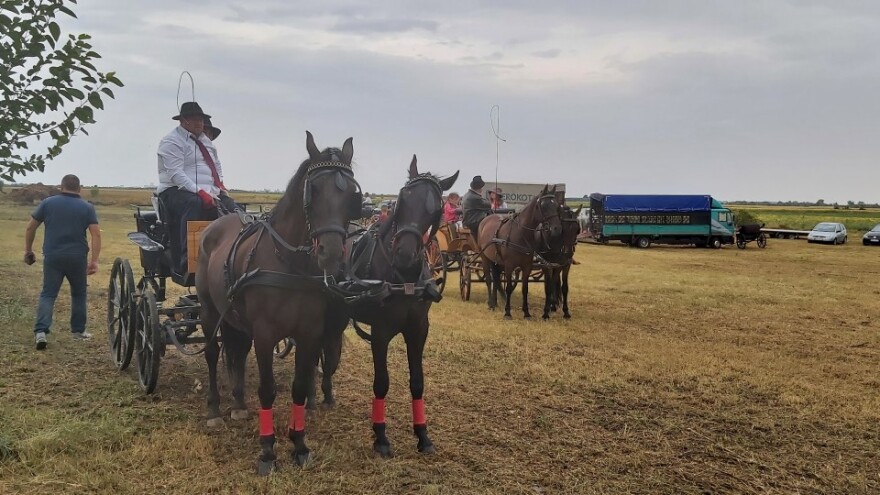 Konji su skup sport, ali ljubitelji ne propuštaju fijakerijade