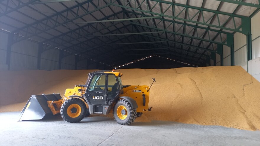 Ratari u problemima zbog nemogućnosti plasmana pšenice, pojavio se i žižak