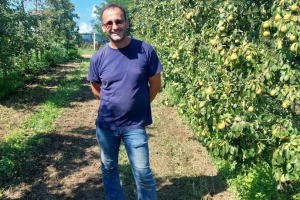Sam svoj majstor: Znanje s fakulteta primijenio u voćnjaku, ubrao 70 tona kruške
