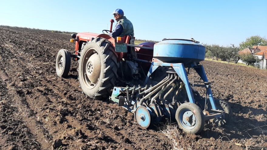 Đubrenje NPK i polovinom uree na jesen, a ostalo u proleće - bitno za pšenicu