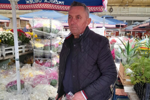 Već treća generacija obitelji Grabrović uzgaja cvijeće, a upravo im je vrhunac sezone