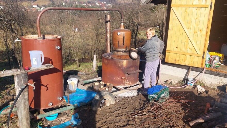 Prva dama voćara: Silvana Stojanović "majstor" i za kazanom