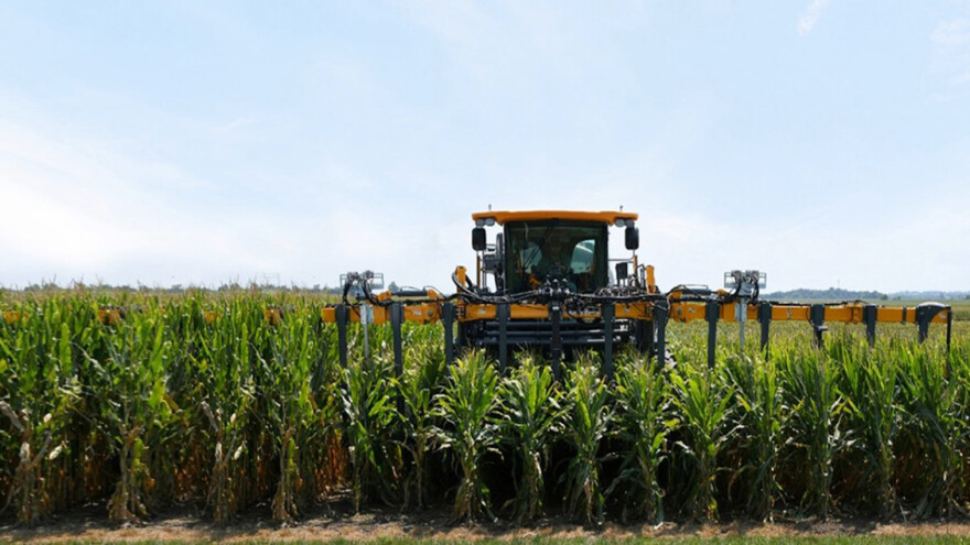 Kukuruz kraće stabljike otporniji na klimatske promene?