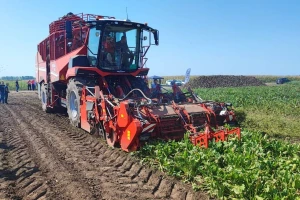 Kombajn Rexor 6200 Platinum: Džin i za repu i za paštrnak