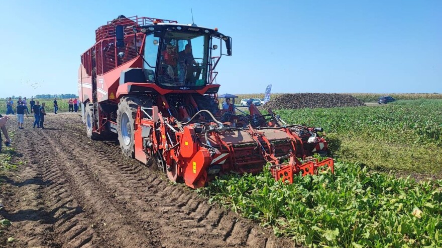 Kombajn Rexor 6200 Platinum: Džin i za repu i za paštrnak