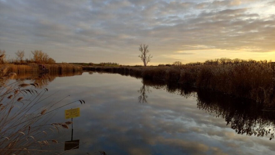Zima koja to nije bila: Šta je sa mrazom?