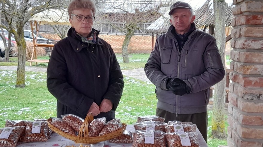 S lješnjacima dočekali mirovinu: Od više nasada i većih površina može se lijepo živjeti