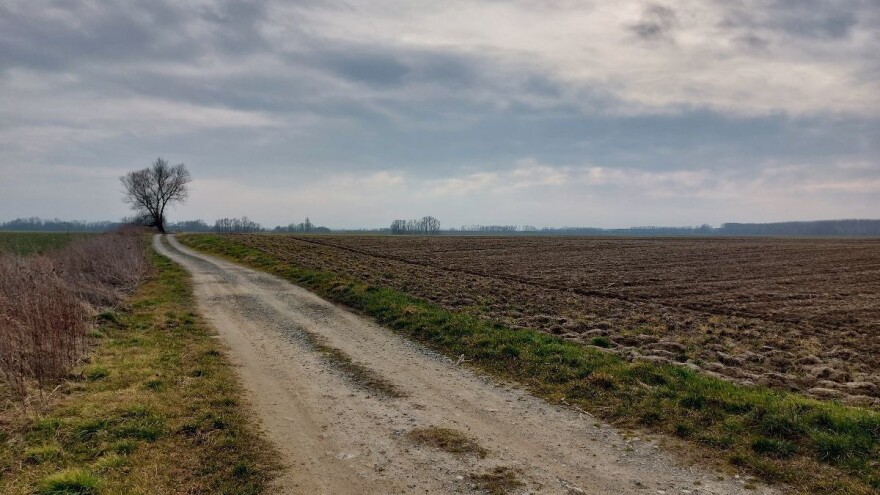 Februarsko sunce neće potrajati, stiže zahlađenje?