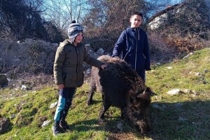 Pripitomio divlju svinju: Tita ne bi dao za milion