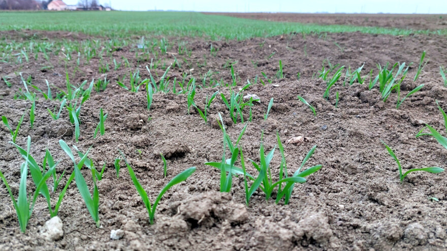 Vlažnost zemljišta i količina vode u rekama već su zabrinjavajući