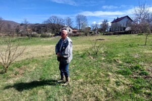 Od pilane do lješnika: Voćna kultura koja će se isplatiti ove godine