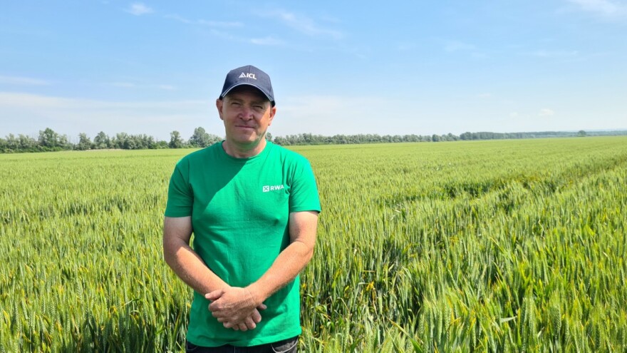 Kad je u pitanju pšenica, Mihael Mihalić ima svoja tri aduta