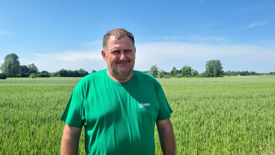 Saša Baček: Unatoč nestabilnom vremenu, ne strahujemo za prinos pšenice
