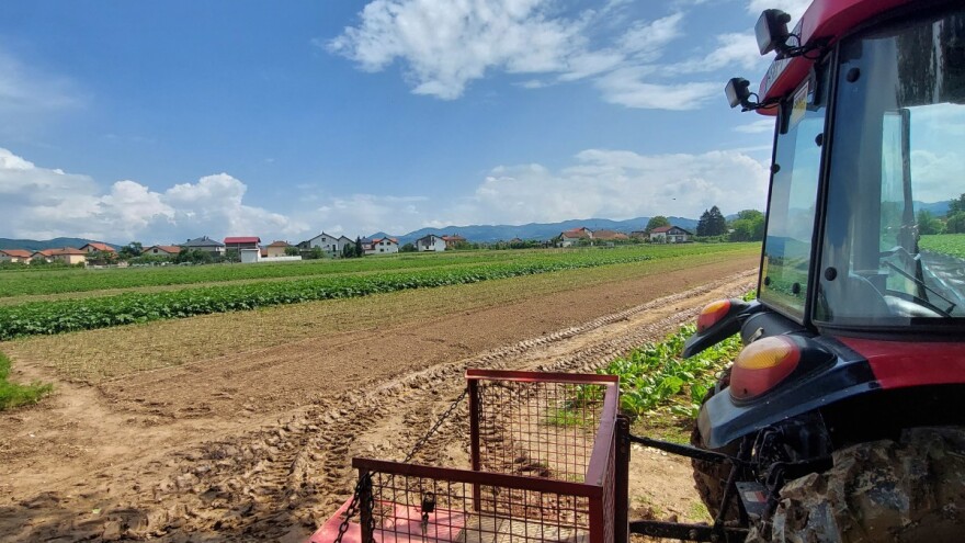 Koji model poticaja za poljoprivrednike je efikasniji?