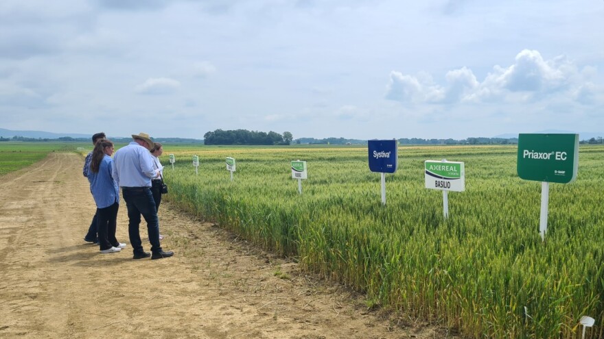 Izazovna je godina pred pivarskim ječmom - ipak se očekuje dobar prinos i kvaliteta