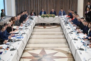 Vlade FBiH i RS dogovorile: Trajno zabraniti izvoz oblovine
