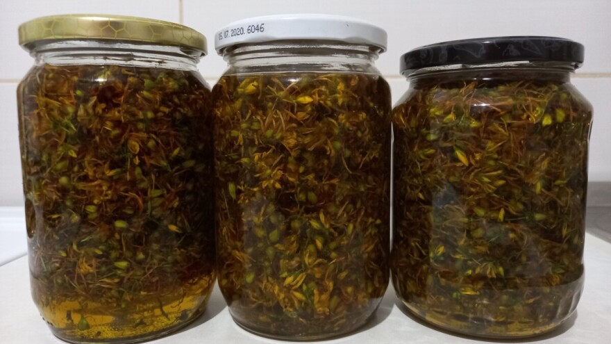 Kantarionovo ulje nije teško napraviti. Svetlana nam objašnjava kako - korak po korak