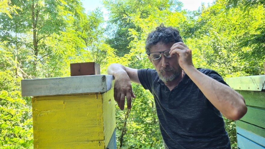 Teška godina za pčelare: Kiše i uvoz niskokvalitetnog meda donose izazove