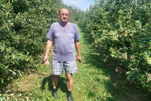 Kaurin je pravi sretnik - kruške preživjele superćelijsku oluju