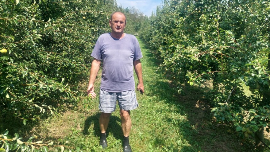 Kaurin je pravi sretnik - kruške preživjele superćelijsku oluju