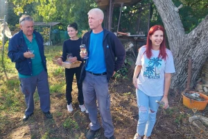 Ivica uzgaja lozu na pola hektara, praviće vinariju, ali nema širenja!
