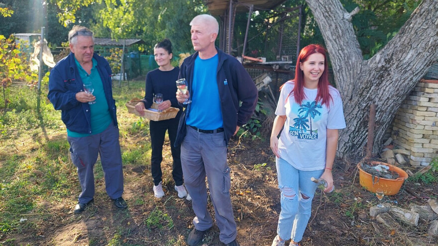 Ivica uzgaja lozu na pola hektara, pravit će vinariju, ali nema širenja!